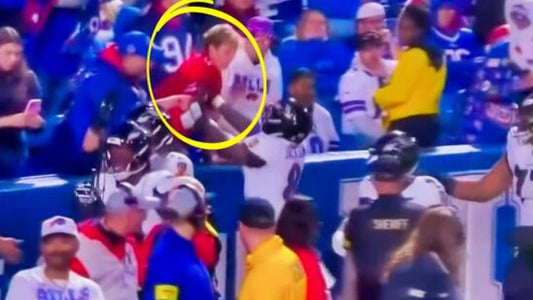 Bills Fan Banned From NFL Stadiums After Shoving Hopkins and Jackson