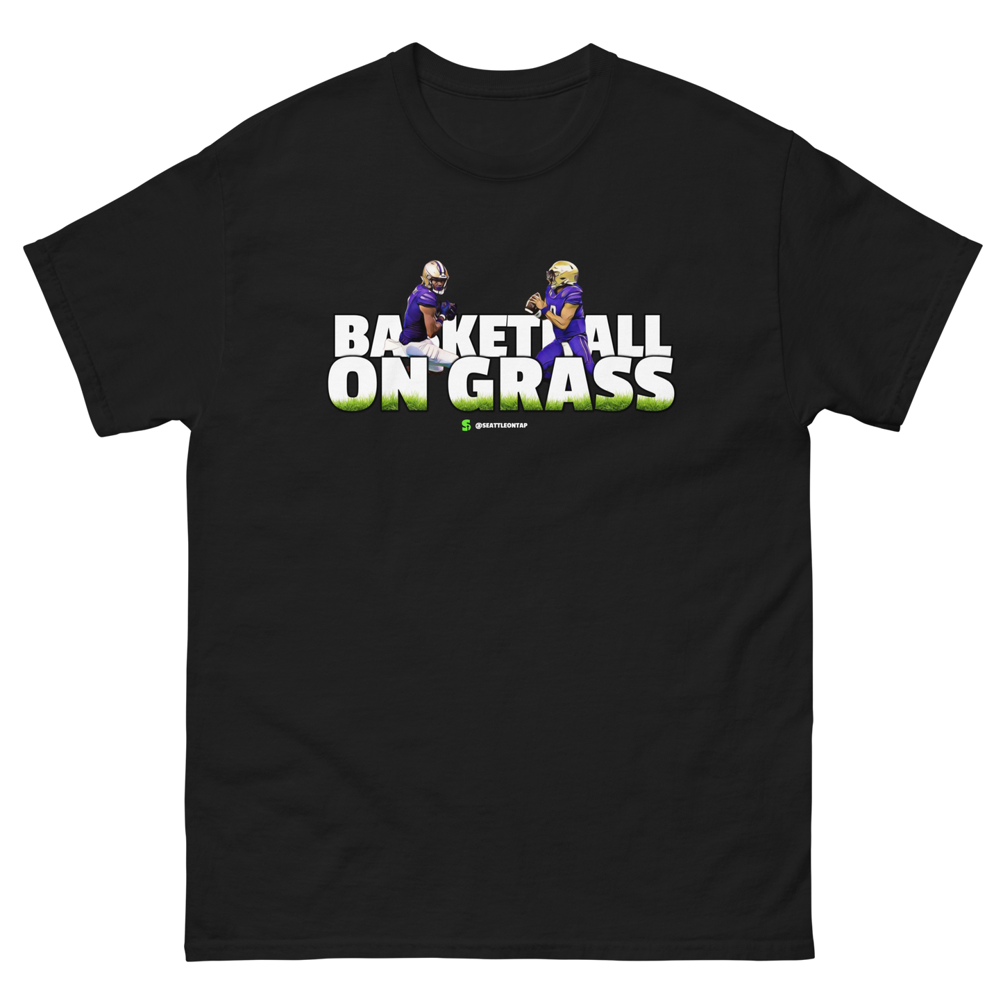 Washington Huskies BASKETBALL ON GRASS