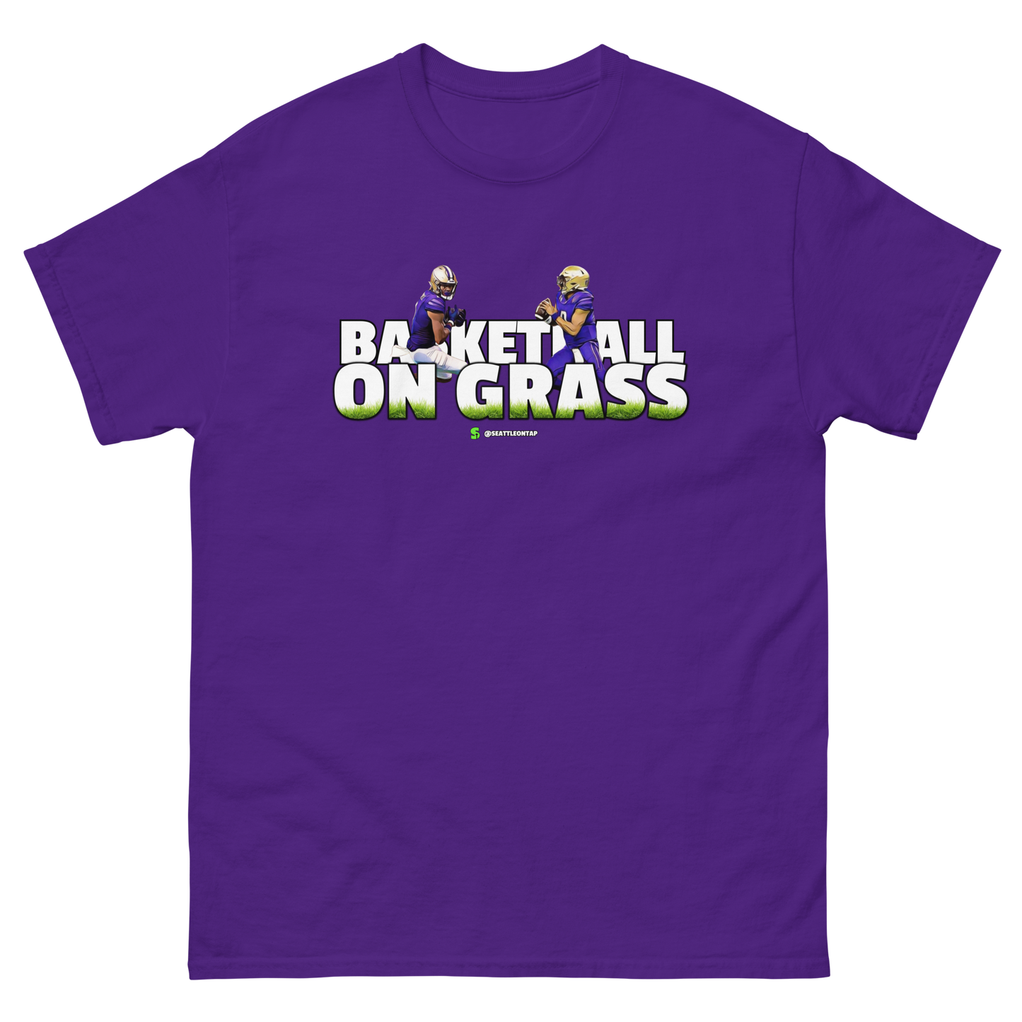 Washington Huskies BASKETBALL ON GRASS