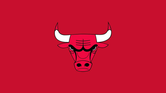 Chicago Bulls sports news