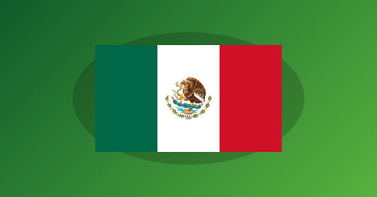 Mexico's President Is Making a World Cup Final Appearance, And It's Her First Game All Tournament!